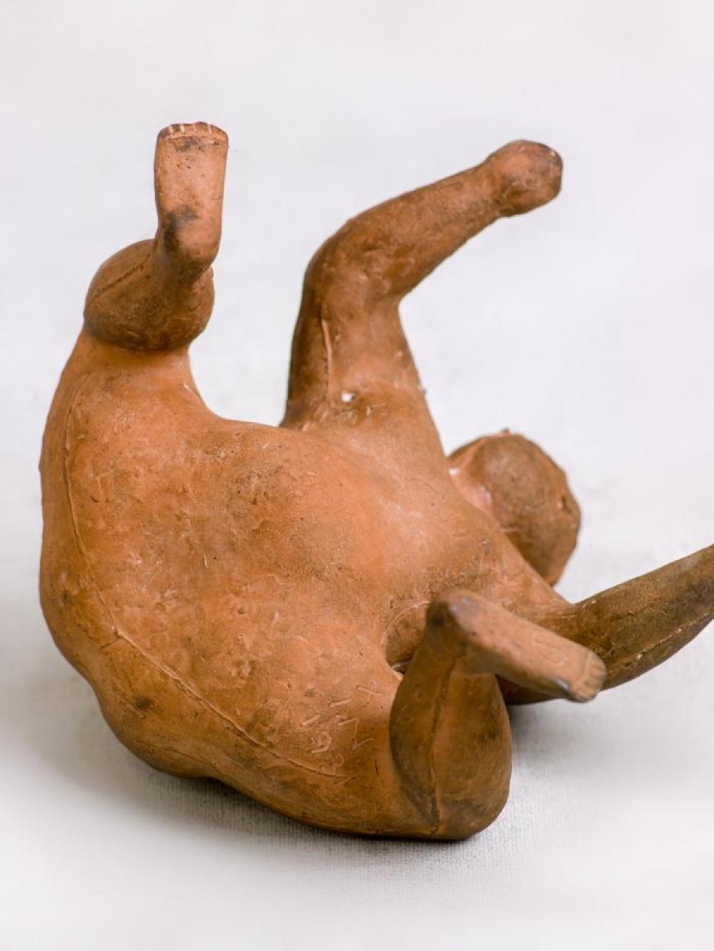 Tamanishiki, image 2