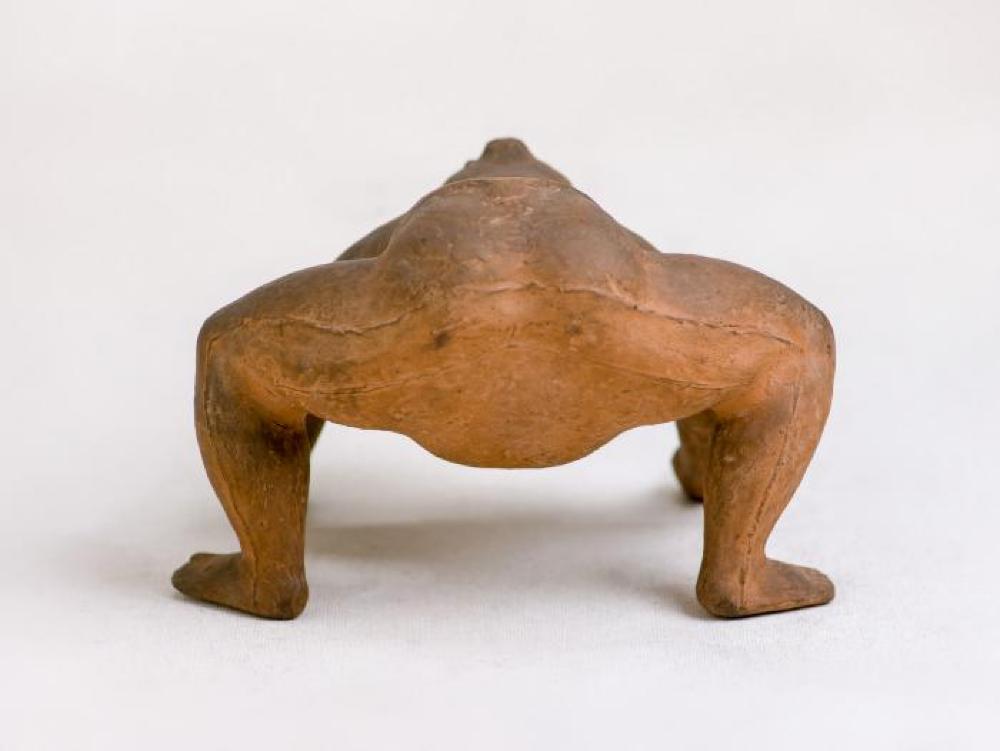 Tamanishiki, image 3