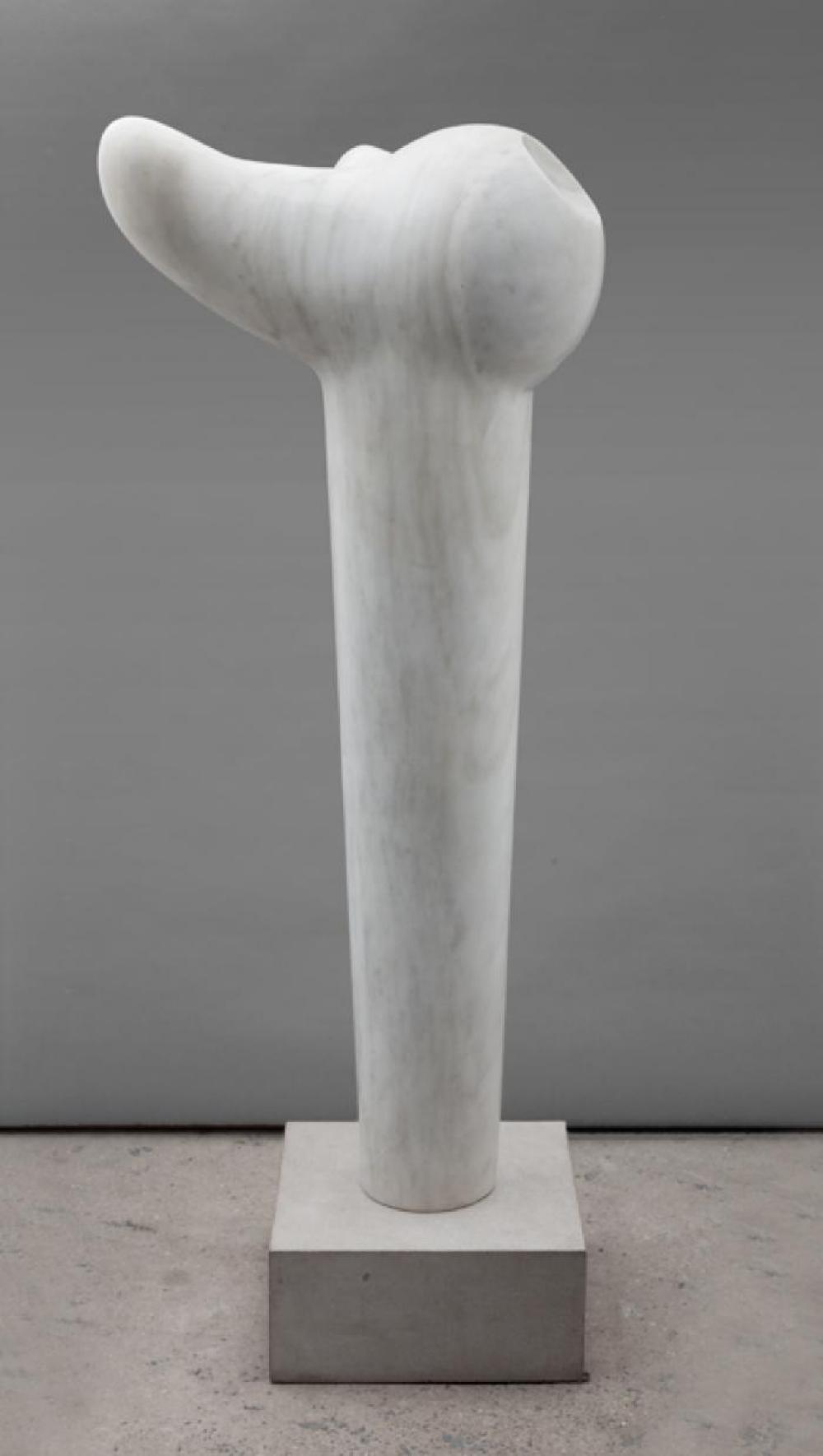 Bird B, image 4