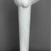 Thumbnail: Bird B, image 2