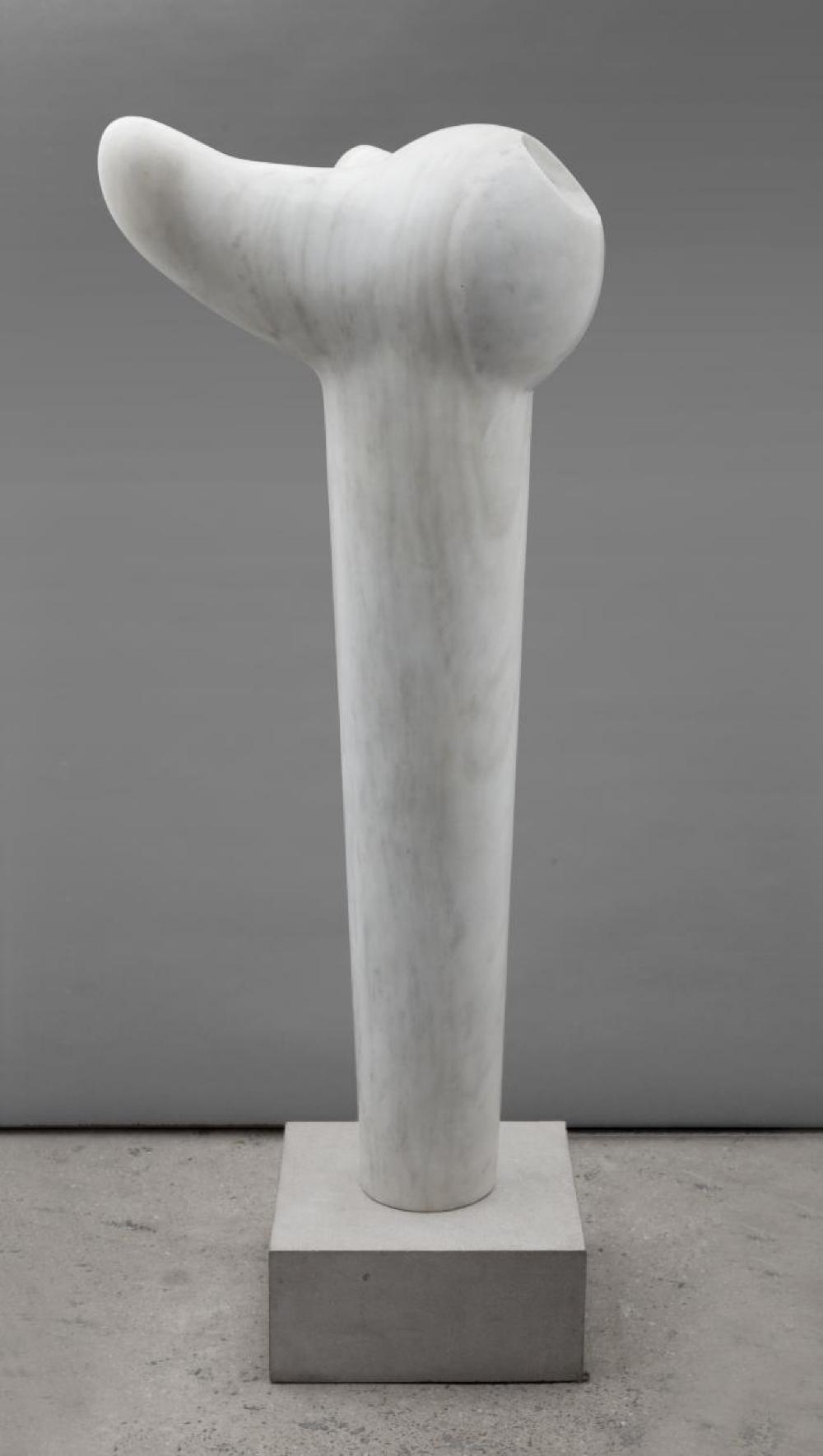 Bird B, image 3