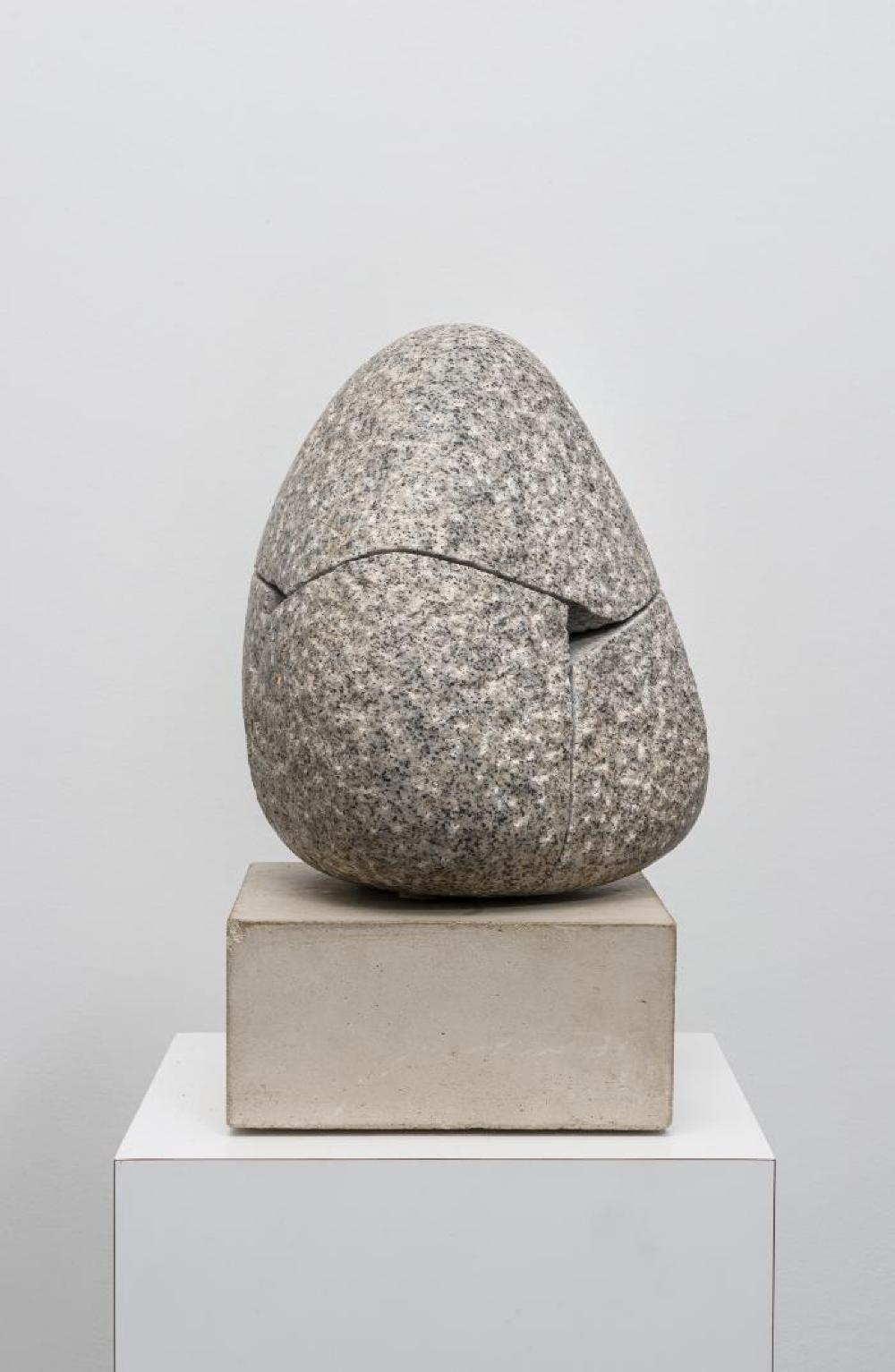 Quasitet, image 6