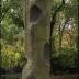 Thumbnail: Unidentified Object, image 1