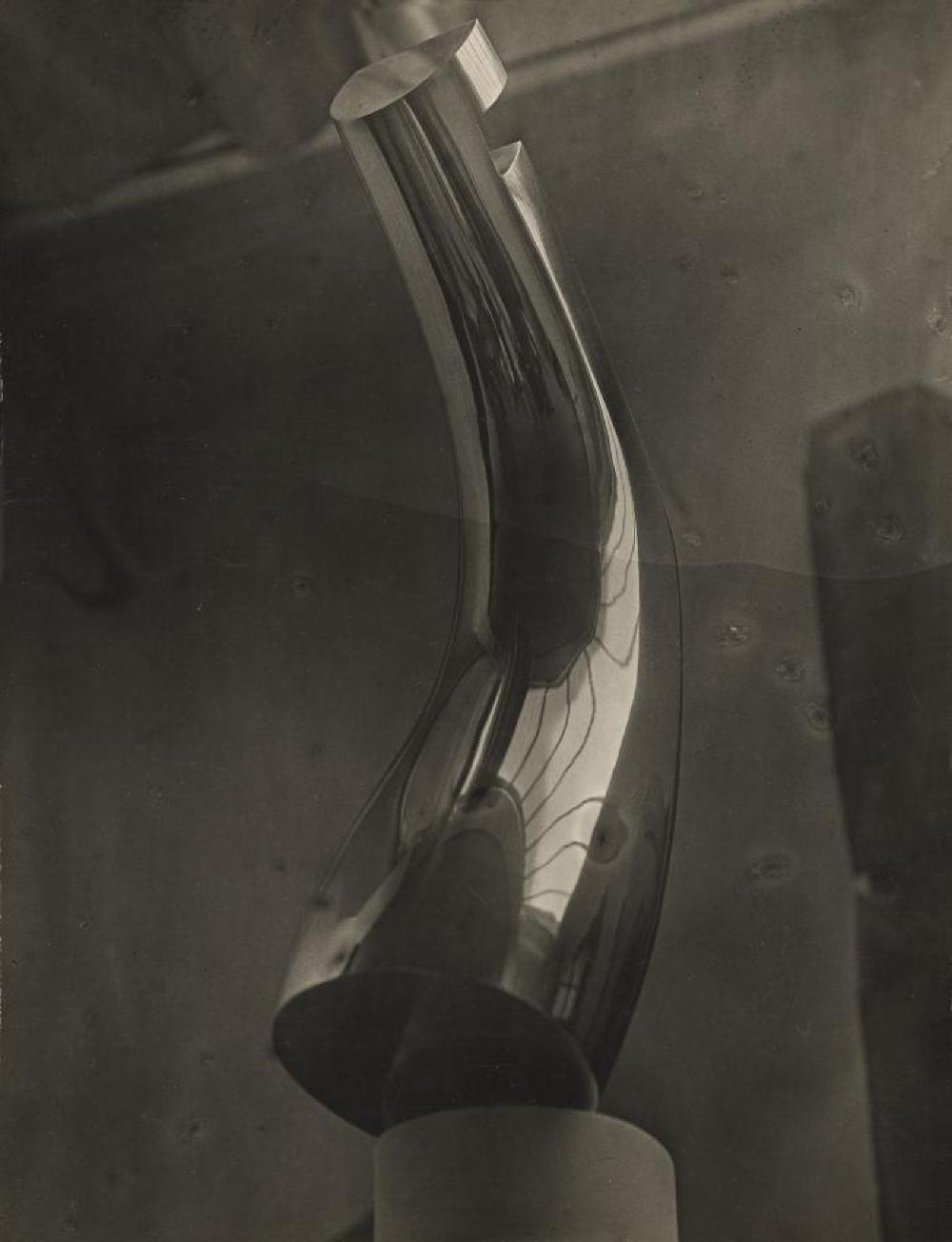 Foot Tree, image 6