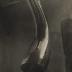 Thumbnail: Foot Tree, image 6