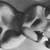 Thumbnail: The Letter, image 5