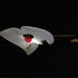 Thumbnail: Floating Lunar, image 1