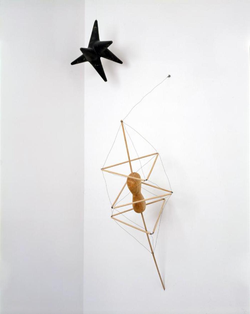 Bucky, image 4