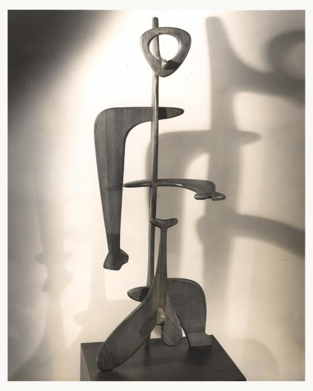 Man, image 6