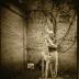 Thumbnail: Strange Bird, image 6