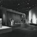 Thumbnail: Bird B, image 15