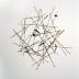Thumbnail: Birds Nest, image 1