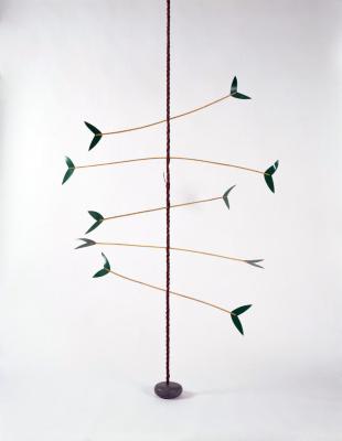 Hanging tree