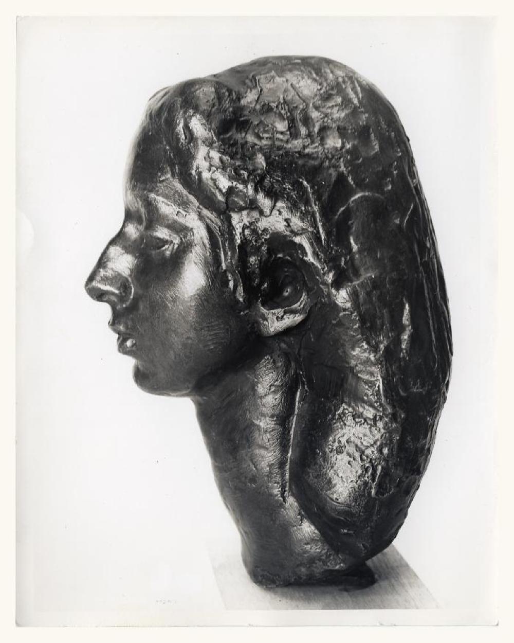 Tara Pandit, image 3