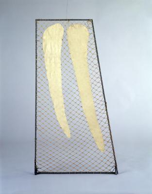 Screen