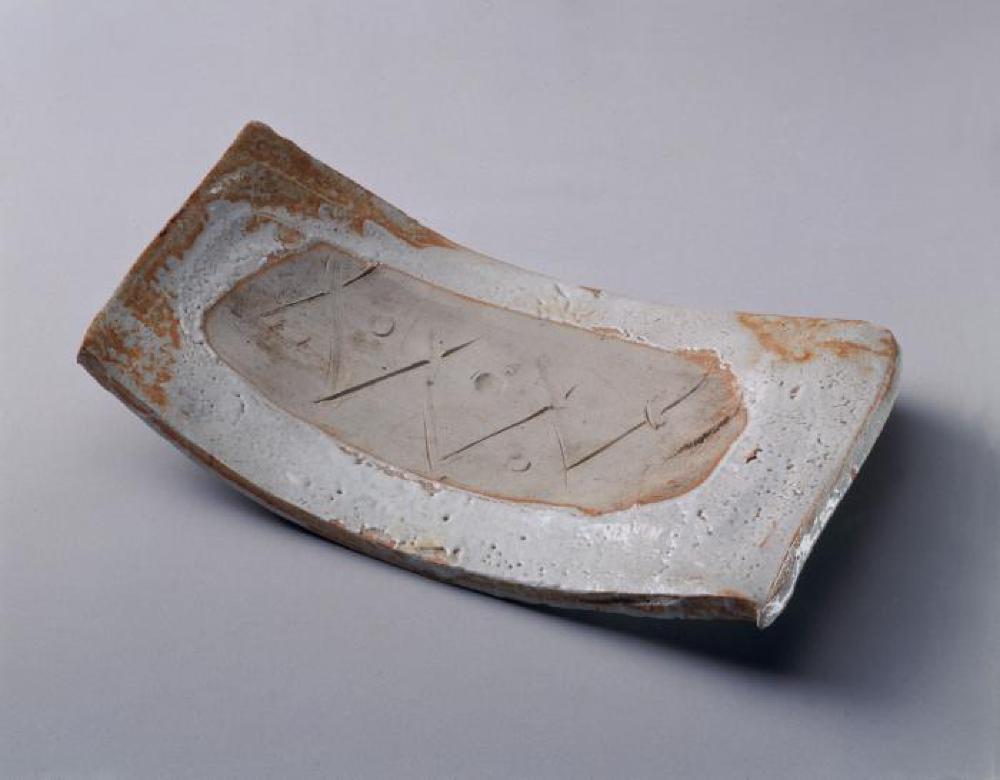 Dish
