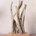 Thumbnail: Le Lai Chian, image 1
