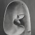 Thumbnail: The Elephant, image 5