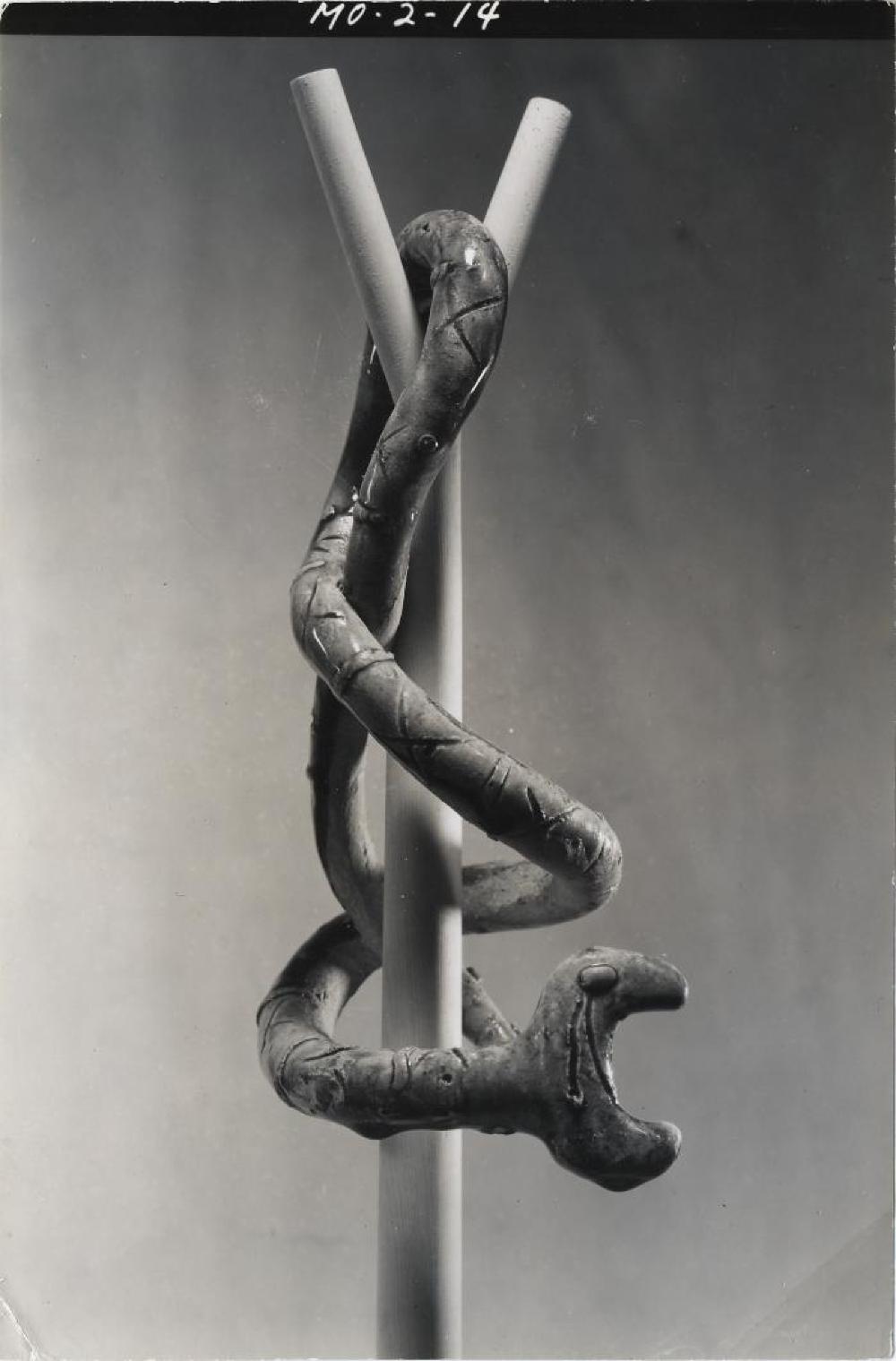 Snake, image 9