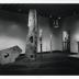 Thumbnail: Garden Elements, image 7