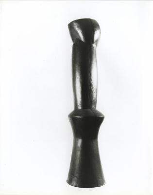Long Neck