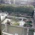 Thumbnail: Gardens for UNESCO, image 3