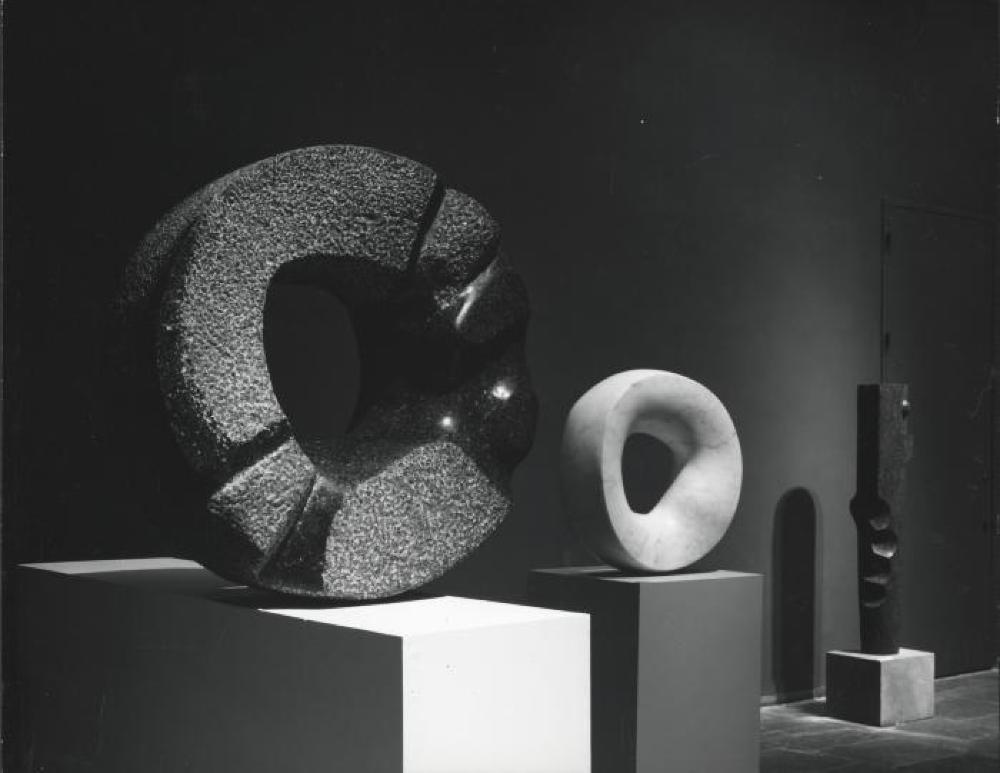 White Sun, image 7