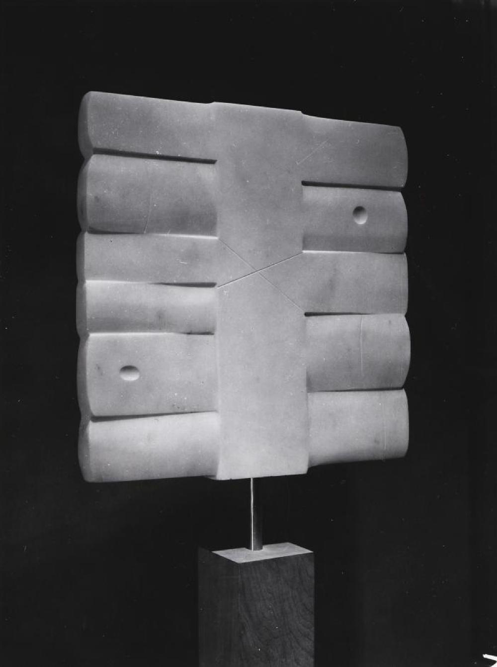 Tiger, image 6