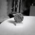 Thumbnail: Model for Sunstone, image 2