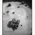 Thumbnail: Sunken Garden, Chase Manhattan Bank Plaza, image 4