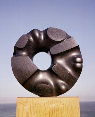 Black Sun