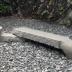 Thumbnail: Bench, image 1