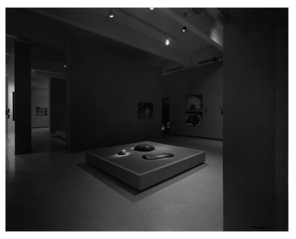 Garden Elements, image 4