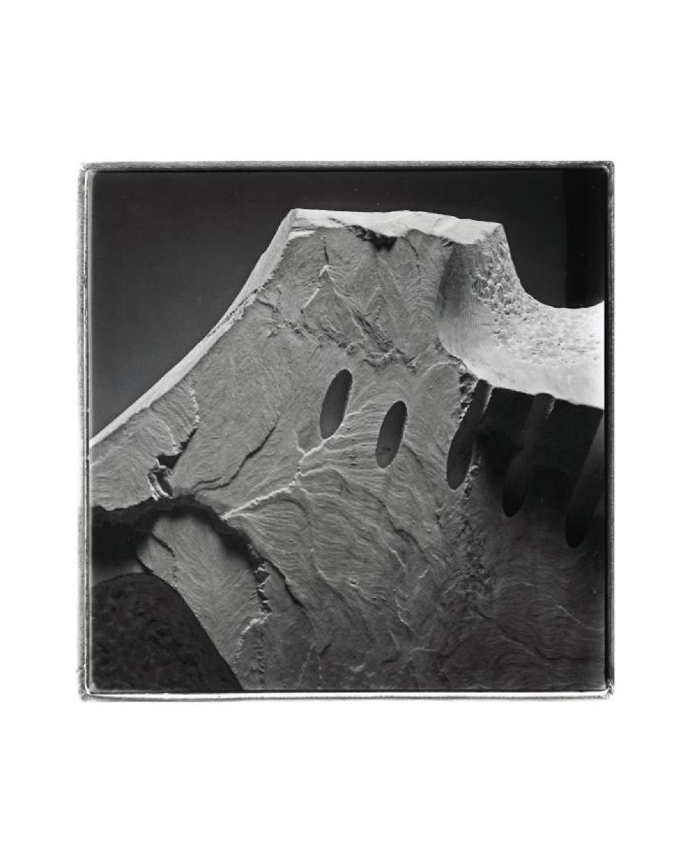 The Roar, image 7