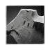 Thumbnail: The Roar, image 7