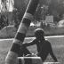 Thumbnail: The Bow, image 5