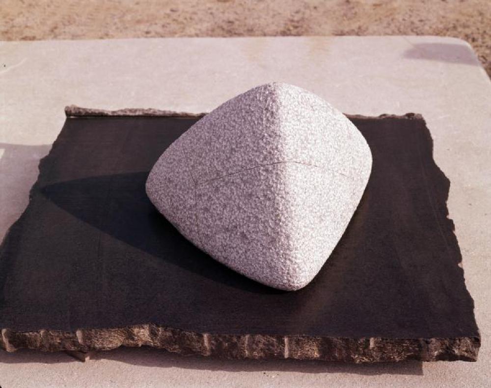 Intetra, image 4