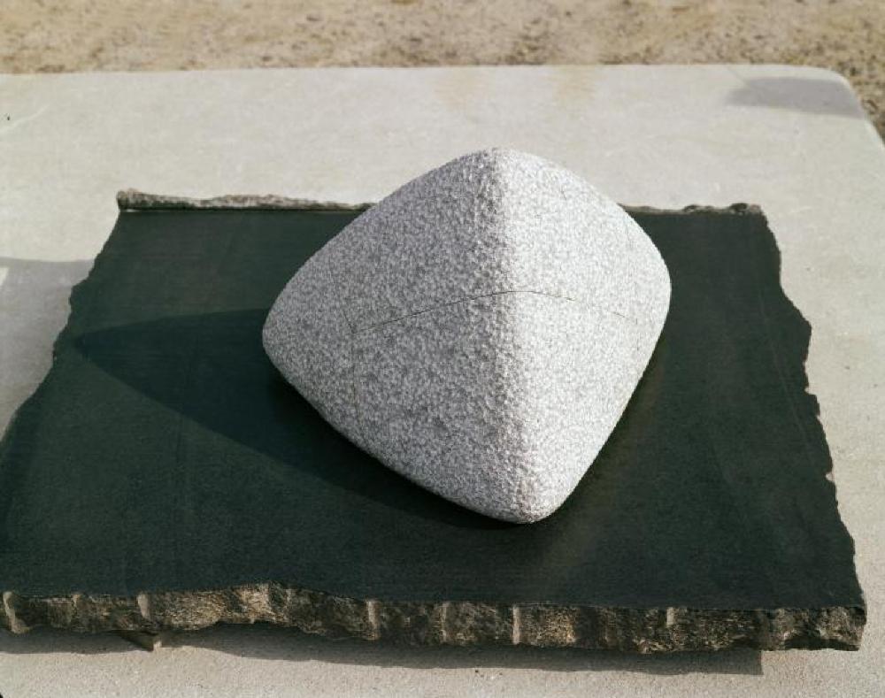 Intetra, image 5