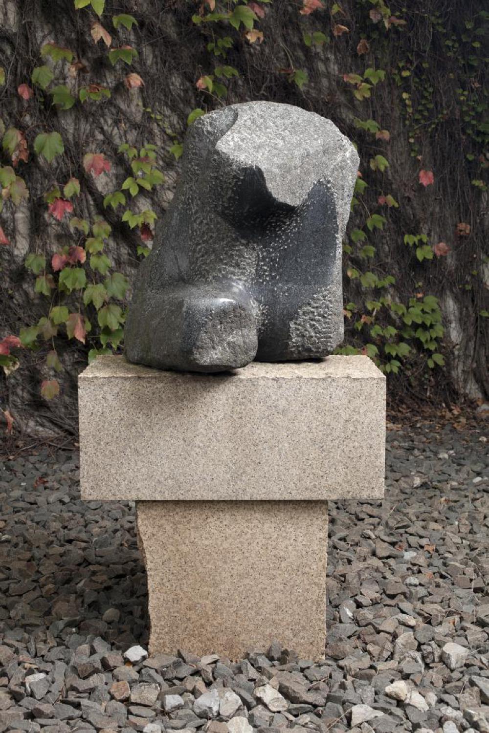 Seeking, image 1