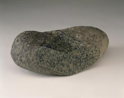 A Pebble For Fish
