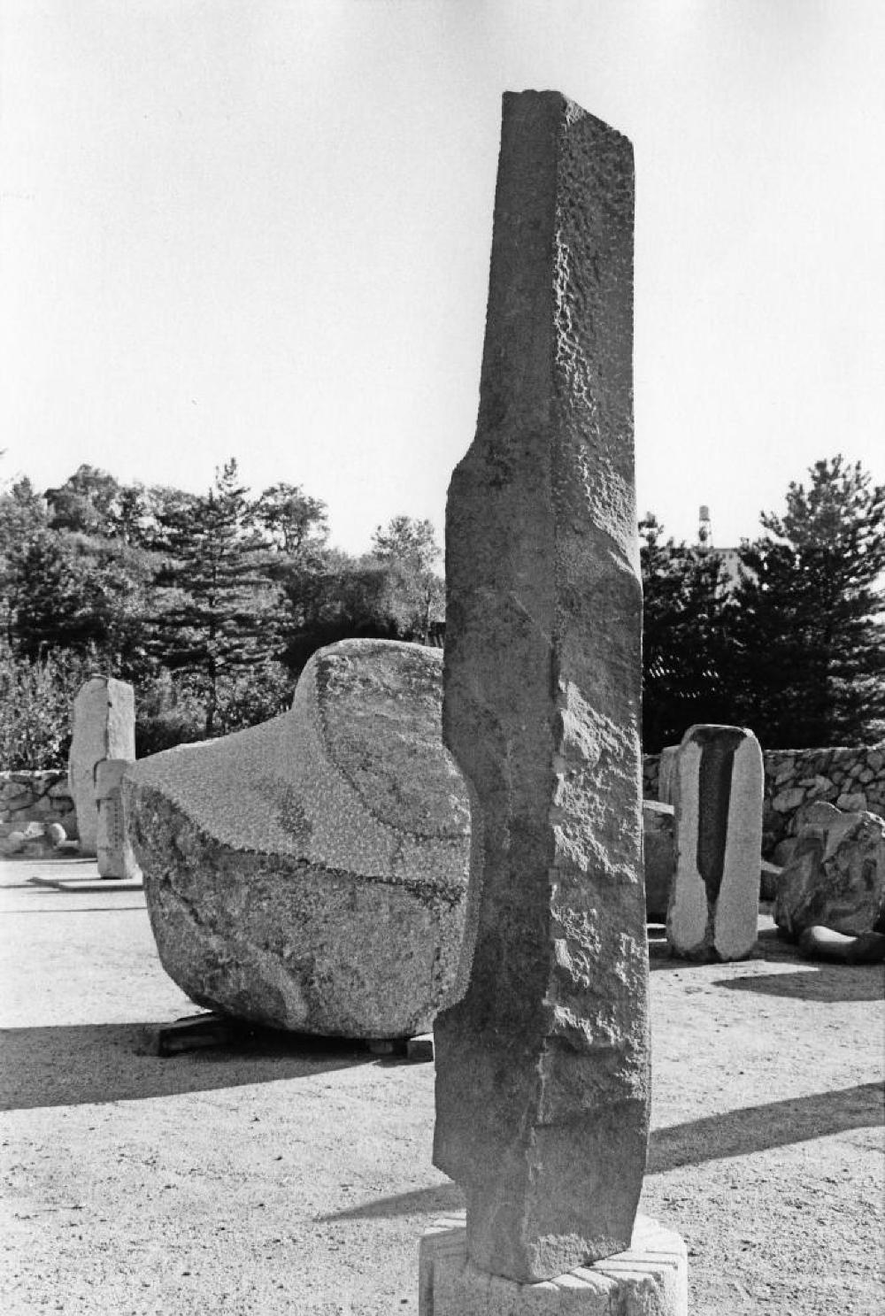 To Tallness, image 6