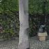 Thumbnail: To Tallness, image 1
