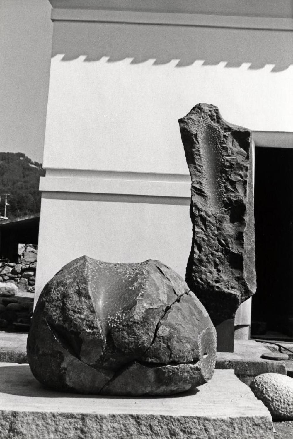 Age, image 2