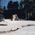 Thumbnail: California Scenario, Costa Mesa, image 9