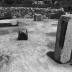 Thumbnail: Constellation (for Louis Kahn), image 5