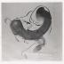 Thumbnail: Peking Brush Drawing, image 2