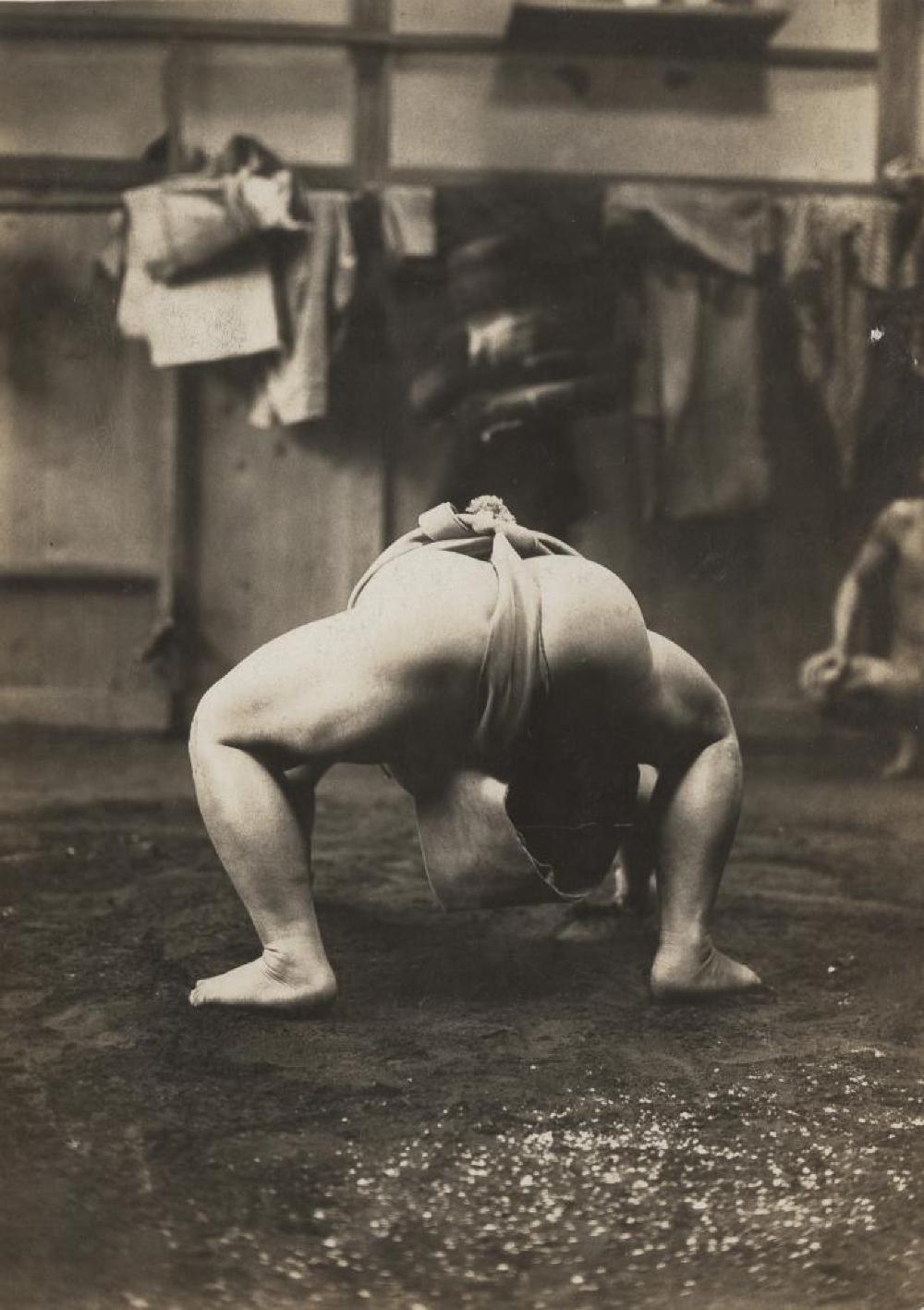 Tamanishiki, image 10