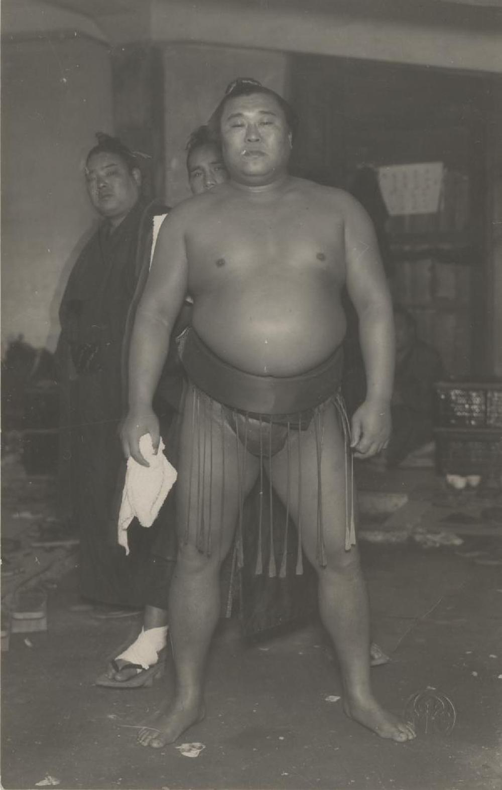 Tamanishiki, image 7