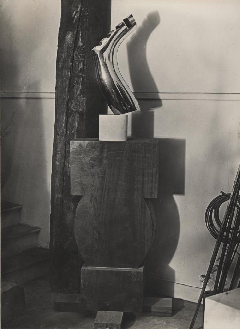 Foot Tree, image 4