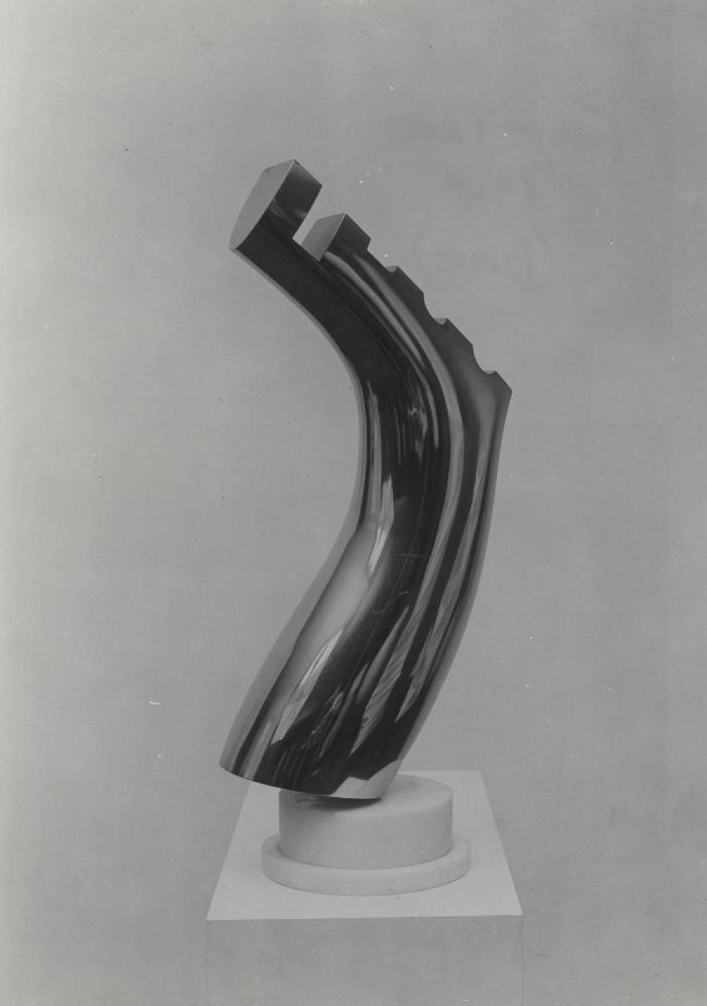 Foot Tree, image 5